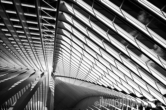 Lines