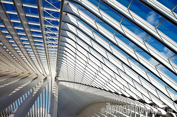 Lines