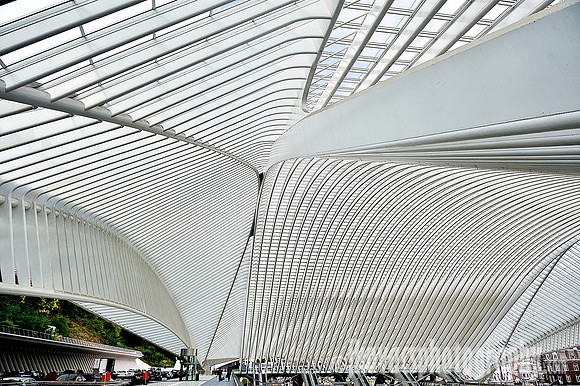 Lines