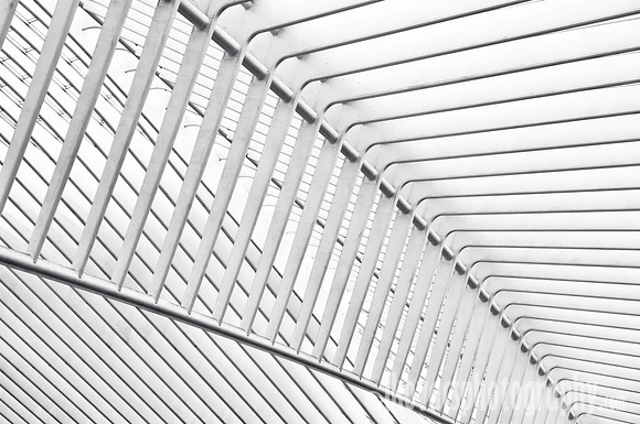 Lines