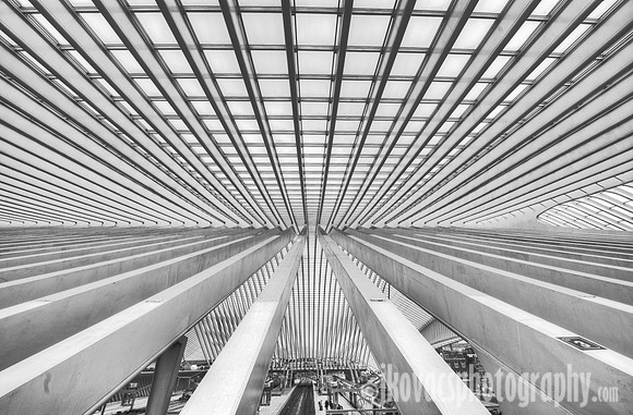 Lines