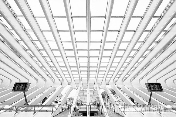 Lines