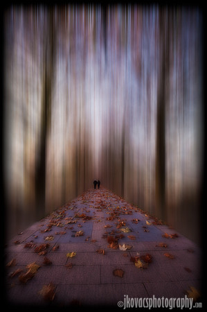 Journey of Life