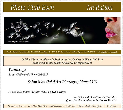 Vernissage