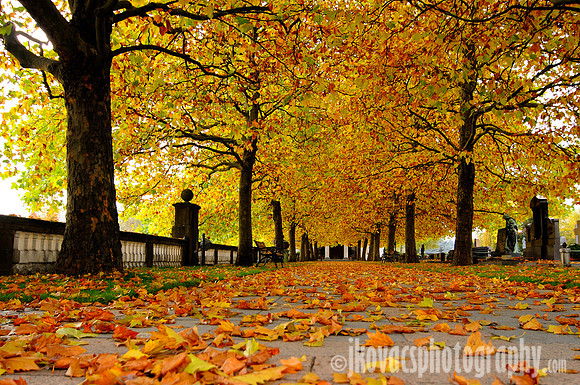 Chanson d'Automne