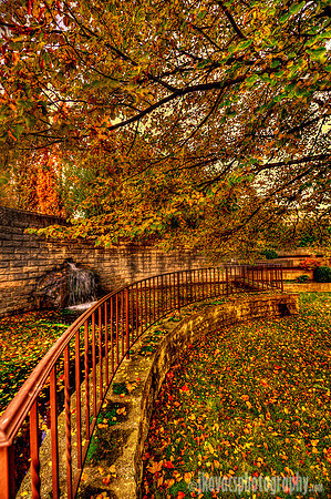 Forever Autumn