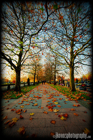 November Walk