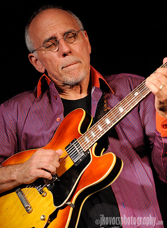 Larry Carlton, Mr. 335.