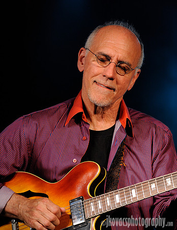 Larry Carlton, Mr. 335.